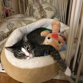 Profile Picture of Bennett Chan (@bennett.chan.31) on Facebook