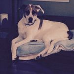 Profile Picture of Jason Rackley (@rackleyjc) on Instagram