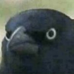 Leo Reyes - Instagram Profile Picture of Leo Reyes (@leodragon1) on Instagram