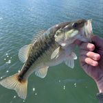 Profile Picture of Jeffrey Riley (@_fish_with_jr_) on Instagram