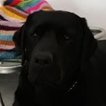 Profile Picture of Roberta Primerano (@roberta.primerano.14) on Instagram