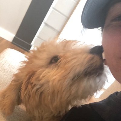 Profile Picture of Tonya Harper (@TonyaHa27716165) on Twitter