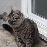 Profile Picture of eric hittra (@hittraeric) on Instagram