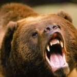 Profile Picture of Scott Philips (@lwg8tr01) on Instagram