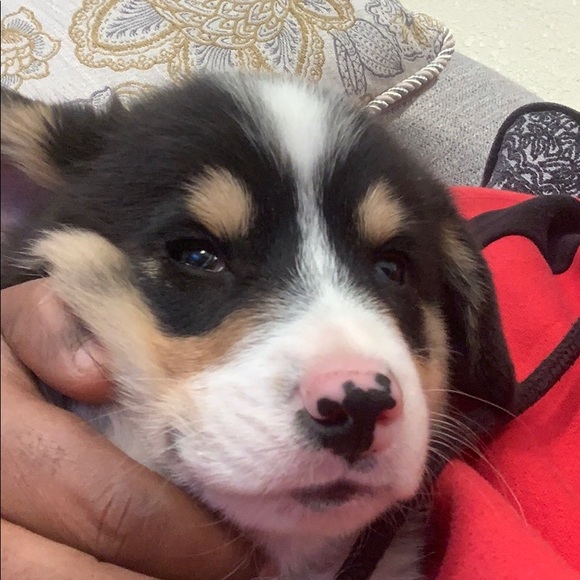 Profile Picture of Mesfin Hagos (@mess2100) on Poshmark