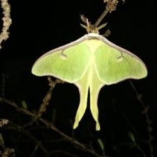 Profile Picture of Glenn Posey (@GlennPosey23) on Twitter