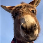 Profile Picture of Jeffrey Nolan (@jeffrey.nolan.2025) on Facebook