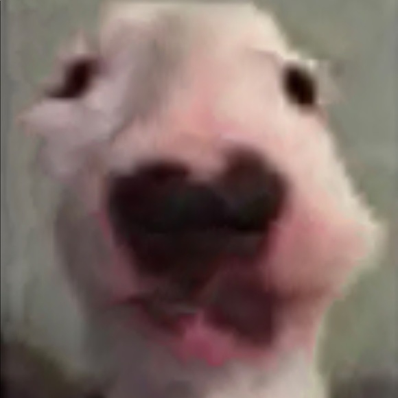 Profile Picture of Jacob Mead (@yeetustheyeezys) on Poshmark