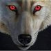 Profile Picture of Lloyd D. LittleSoldier (Waco) (@lloyd.littlesoldier.5) on Facebook
