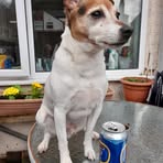 Profile Picture of Michael Gelder (@Michael-Gelder) on Facebook