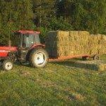 Profile Picture of Hazel Hammond (@hazel.hammond.9) on Facebook