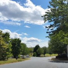 Profile Picture of Tara And Tyrone (@dusty_carlisle) on Twitter