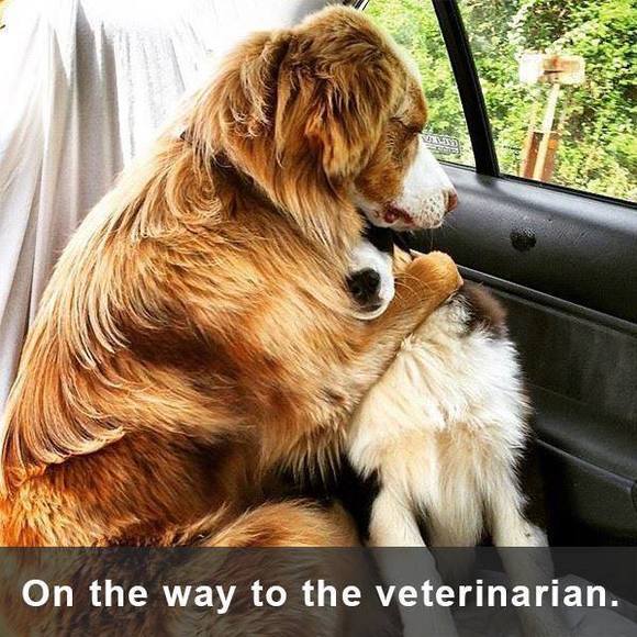 Profile Picture of Jimi Rhodes (@jimilrhodes) on Poshmark