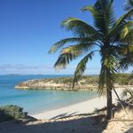 Profile Picture of Jerry Digby (@exumaoutpost) on Instagram