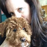 Profile Picture of Pamela Rose 🌹 (@pamelaandhershey) on Instagram