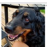 Profile Picture of Anett Schock (@anett_schock) on Instagram