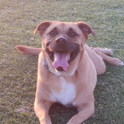 Profile Picture of Christian Yu (@christianyu3185) on Youtube