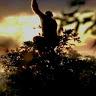 Profile Picture of trent sprinkle (@@user075441578) on Tiktok