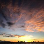 Profile Picture of Joanne Ting (@joan.neting) on Instagram