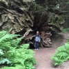 Profile Picture of Chris Dowling (@@30199030185) on Tiktok
