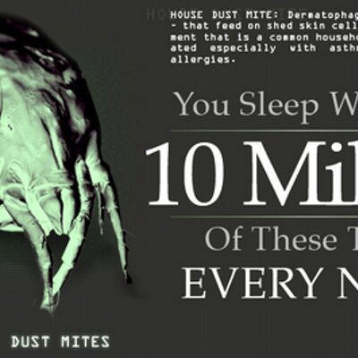 Profile Picture of Kent McClure (@kentmccl) on Twitter