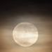 Profile Picture of Brad Peasley (@brad.peasley.547) on Facebook