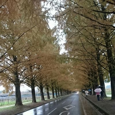 Profile Picture of Ami (@FreemanA10) on Twitter