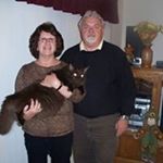 Profile Picture of Gene Hopper (@jz82st) on Instagram