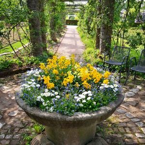 Profile Picture of Daniel Spalt (@DanielSpalt) on Twitter