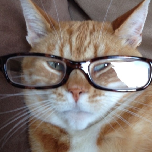 Profile Picture of Lauren Picone (@laurenpic2) on Poshmark