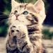 Profile Picture of Alexander Nord (@alexandernord60) on Pinterest
