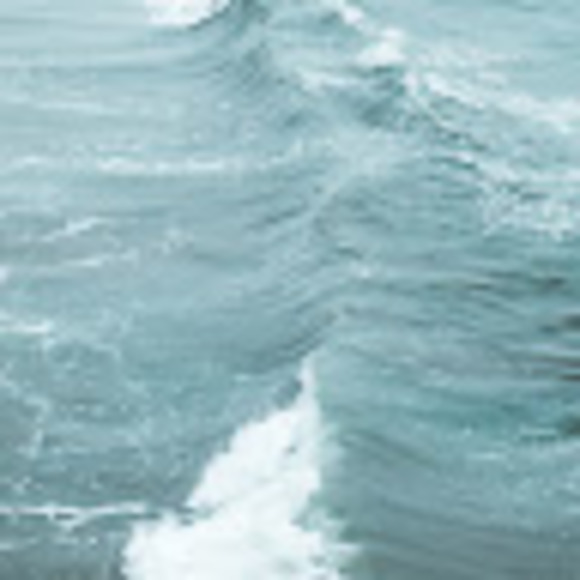 Harper Krattiger - Poshmark Profile Picture of Harper Krattiger (@hdgaheq234) on Poshmark