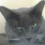 Profile Picture of Sylvia Toledo (@sylvia.toledo) on Instagram