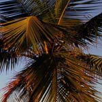 Profile Picture of DwightHarrison (@dwightharrisonc) on Instagram