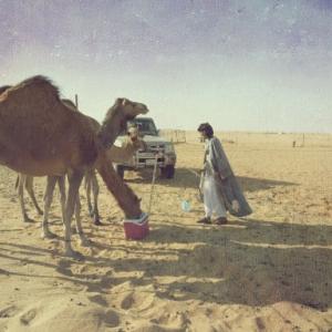Profile Picture of زياد الدهمشي (@fonohema_b) on Twitter