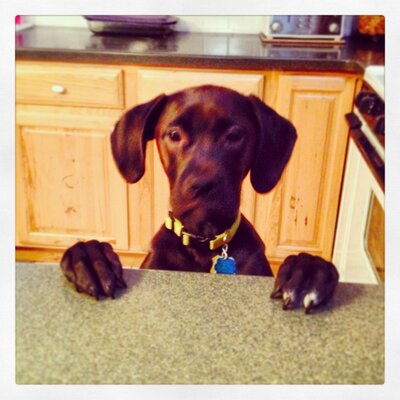 Profile Picture of Kyle Amidon (@KyleAmidon) on Twitter