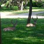 Profile Picture of Lori A (@lori.armstrong.395) on Instagram