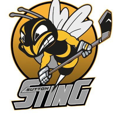 Profile Picture of Sutton Sting (@Stingenl) on Twitter