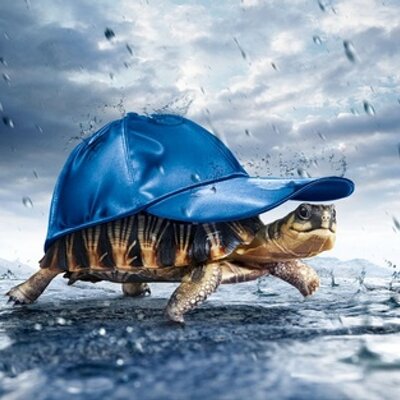 Profile Picture of David Bunce (@davidbunce7) on Twitter