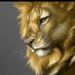 Profile Picture of Leone Stranges (@releone83) on Pinterest