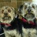 Profile Picture of Jean Nugent (@jean.nugent.5817) on Facebook