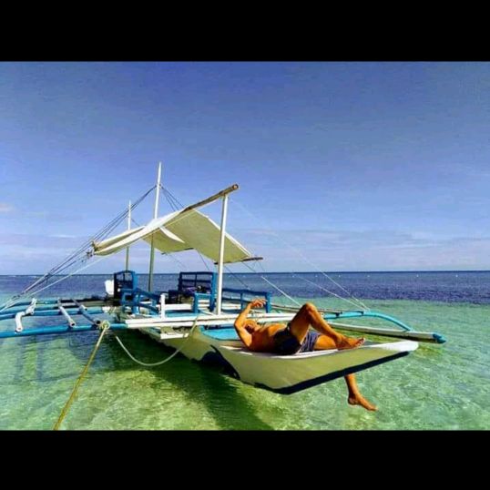 Profile Picture of David Rose4891 (@davidrose4891) on Tiktok