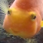 David Rohel - Instagram Profile Picture of David Rohel (@roheldavid_) on Instagram