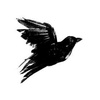 Profile Picture of Kate Werner (@@katewerner1) on Tiktok