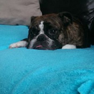 Profile Picture of Cheyenne Dailey (@cheydayday) on Twitter