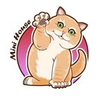 迷你貓舍-英國短毛貓x英國長毛貓x曼赤肯x小步舞曲 - Instagram Profile Picture of 迷你貓舍-英國短毛貓x英國長毛貓x曼赤肯x小步舞曲 (@lovelylee0919) on Instagram