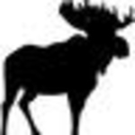 Profile Picture of Lee White (@eugene_yeti) on Flickr