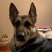 Profile Picture of Sean Hightower (@sean.hightower.773) on Facebook