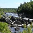 Profile Picture of Sheri Swanson (@sheri1462) on Pinterest