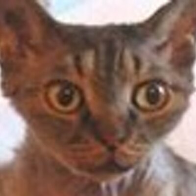 Profile Picture of Mark Ballantyne (@Mkballantyne) on Twitter